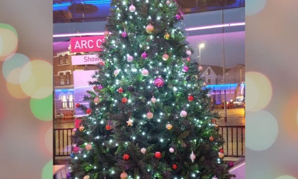 ARC's Christmas tree stands in the No 60 cafe bar