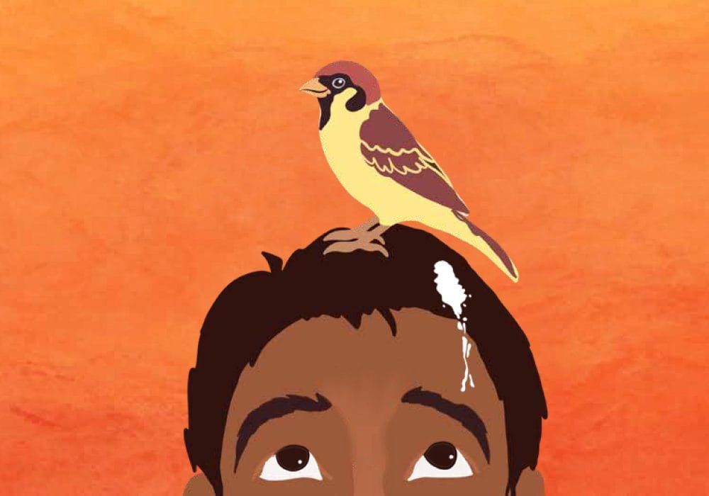 An illustration of a bird sitting on a boy's head