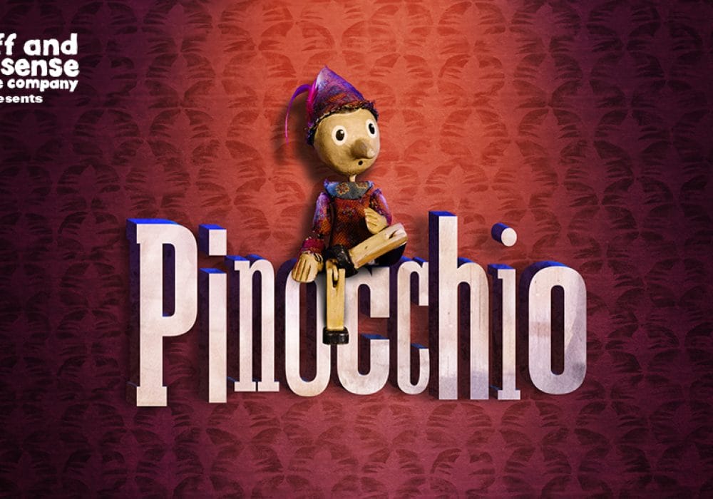 Text in the top left hand corner reads 'stuff and nonsense theatre company presents, and the main image is the wooden puppet sitting on top of the word Pinocchio.