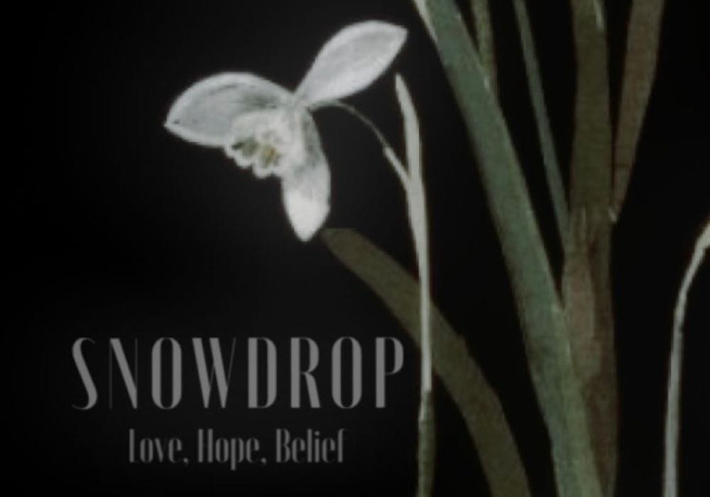 An image of a snowdrop on a black background. Text: SNOWDROP Love. Hope. Belief