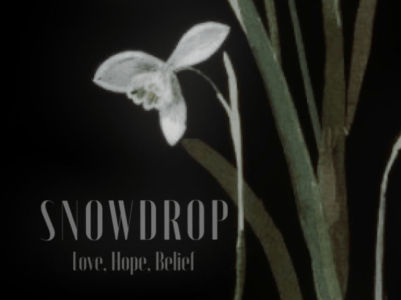 An image of a snowdrop on a black background. Text: SNOWDROP Love. Hope. Belief