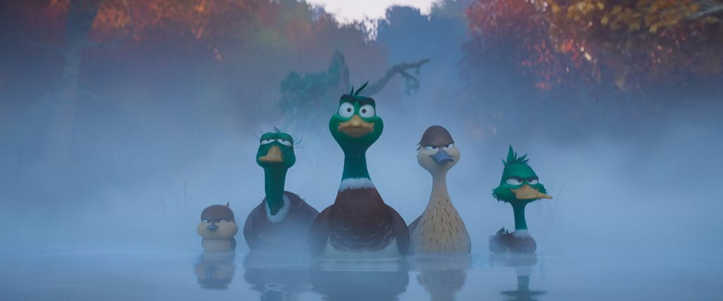 a group ducks float on the pond and look on curiously.