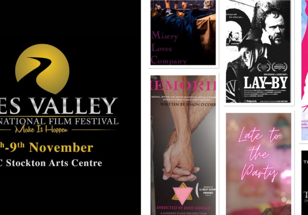 Tees Valley International Film Festival logo and dates 6-9 November, plus a collage of 5 promo images for the films in the LGBTQ+ category