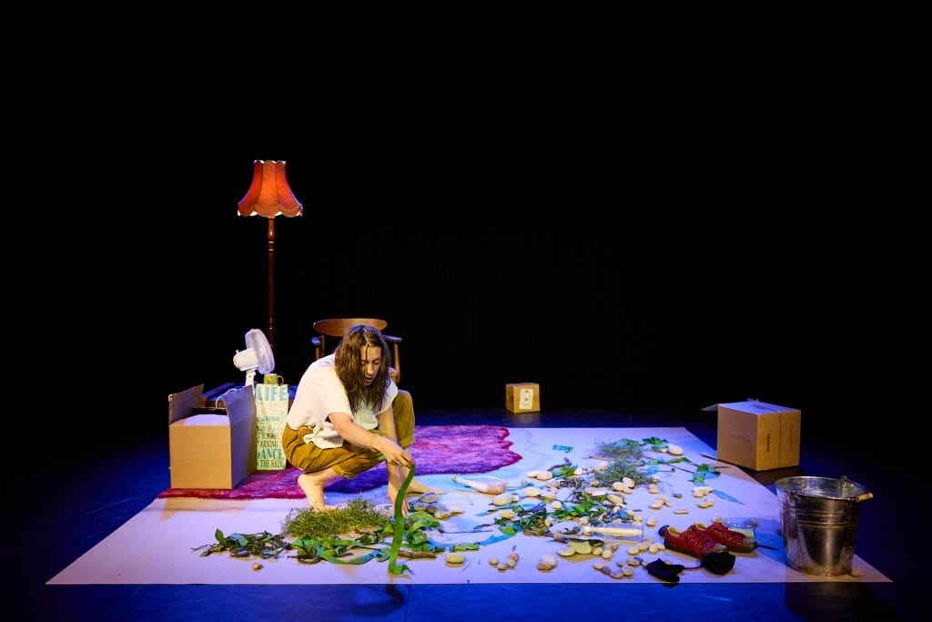A woman crouches down towards an assortment of tangled greenery, behind her is a cardboard box, a fan, and a lamp. There is a silver metal bucket, and shoes to the right of her. 