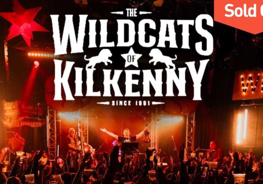 A musician on stage in front of an applauding audience