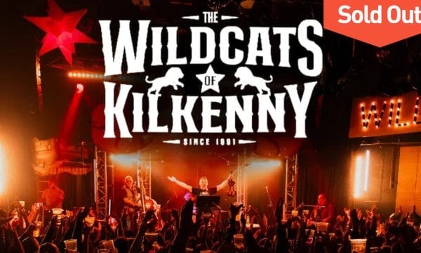 A musician on stage in front of an applauding audience