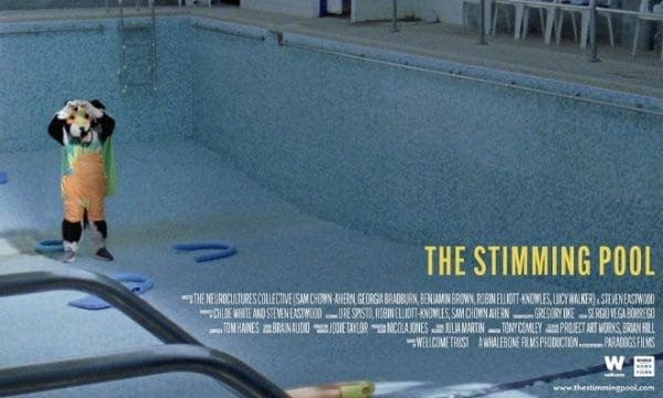 An image of an empty swimming pool with a person dressed in orange overalls with their hands on their head. In the right corner in yellow writing the words 'The Stimming Pool' is written