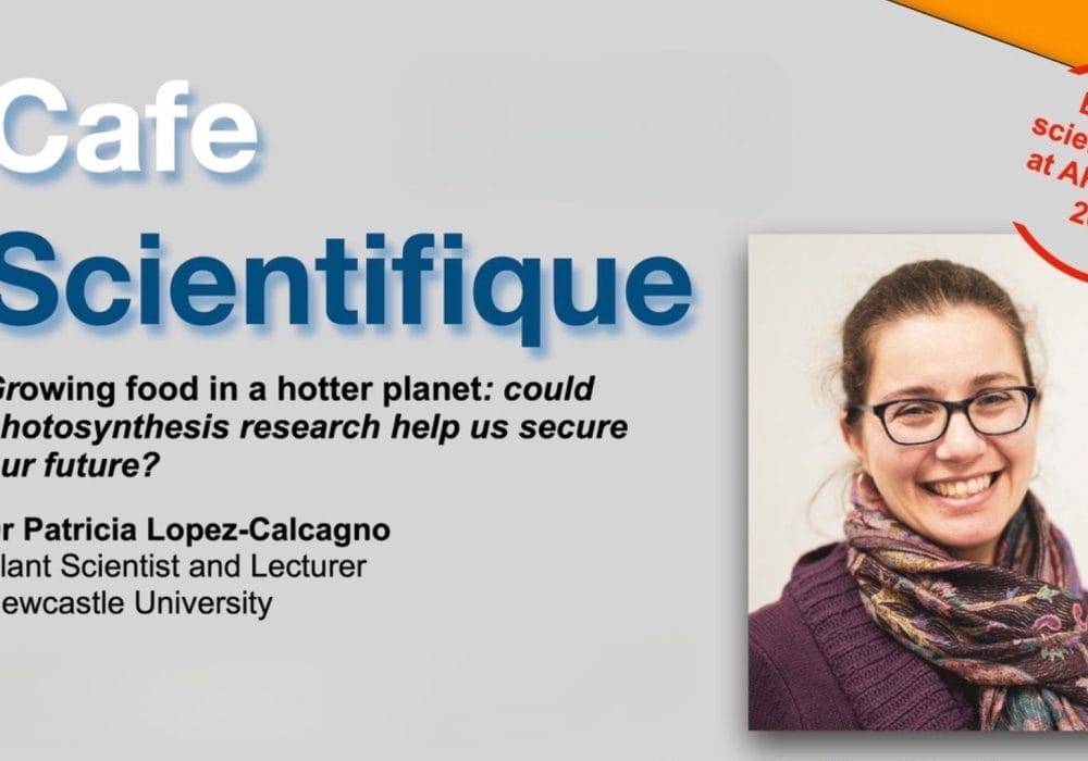 A smiling professional woman wearing glasses and a scarf