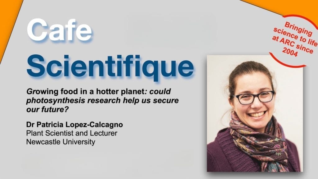 A smiling professional woman wearing glasses and a scarf