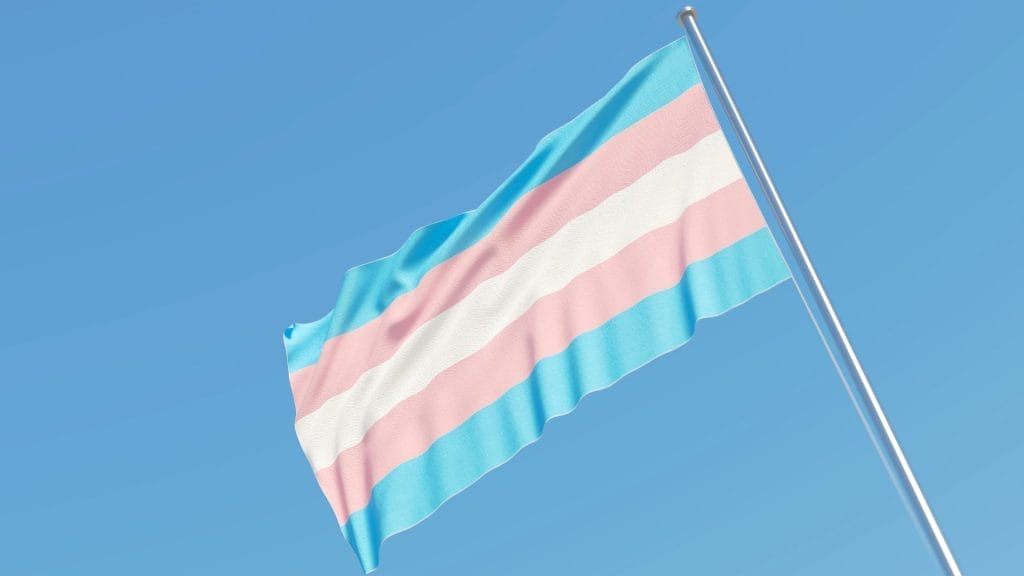 A transgender flag waving in the breeze against a clear blue sky, symbolizing pride and inclusivity.